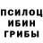 Галлюциногенные грибы мухоморы Brajanek Karlik