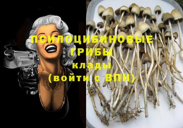 круглые Вязники
