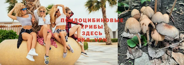 спиды Вязьма